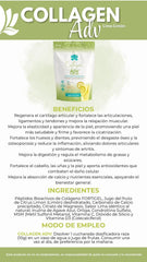 COLLAGEN ADV ARTICULACIONES